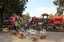 Festmeile_1